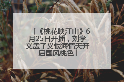 《桃花映江山》6月25日开播，刘学义孟子义恨海情天开启国风桃色