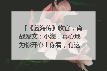 《藏海传》收官，肖战发文：小海，真心地为你开心！你看，有这么多人懂你！