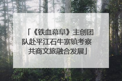 《铁血幕阜》主创团队赴平江石牛寨镇考察 共商文旅融合发展