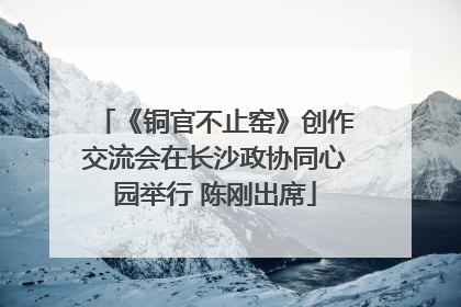 《铜官不止窑》创作交流会在长沙政协同心园举行 陈刚出席
