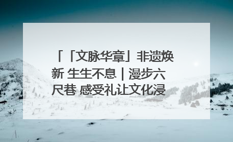 「文脉华章」非遗焕新 生生不息｜漫步六尺巷 感受礼让文化浸润的“巷”往生活