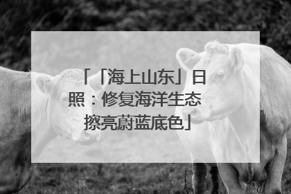 「海上山东」日照：修复海洋生态 擦亮蔚蓝底色