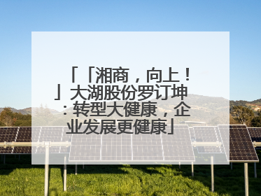 「湘商，向上！」大湖股份罗订坤：转型大健康，企业发展更健康