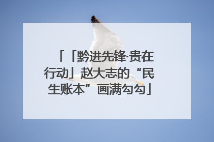 「黔进先锋·贵在行动」赵大志的“民生账本”画满勾勾