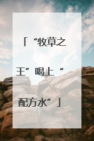 “牧草之王”喝上“配方水”