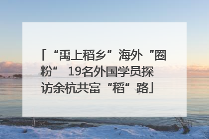 “禹上稻乡”海外“圈粉” 19名外国学员探访余杭共富“稻”路