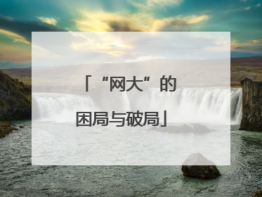“网大”的困局与破局