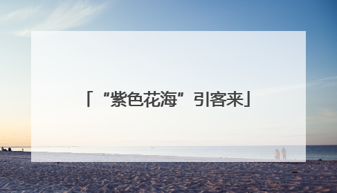 “紫色花海”引客来