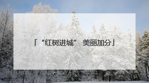 “红树进城” 美丽加分