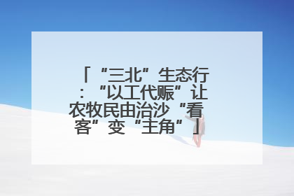 “三北”生态行：“以工代赈”让农牧民由治沙“看客”变“主角”