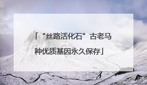 “丝路活化石”古老马种优质基因永久保存
