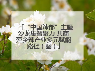 “中国辣都”主题沙龙集智聚力 共商萍乡辣产业多元赋能路径（图）
