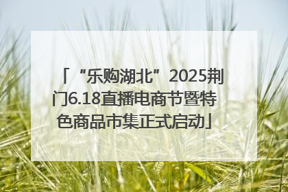 “乐购湖北”2025荆门6.18直播电商节暨特色商品市集正式启动