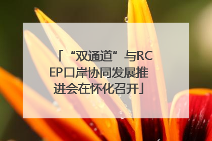 “双通道”与RCEP口岸协同发展推进会在怀化召开