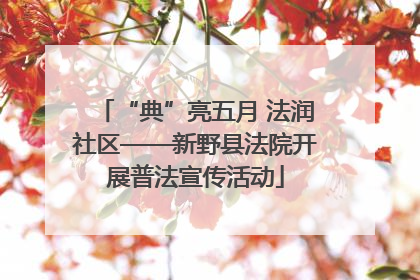 “典”亮五月 法润社区——新野县法院开展普法宣传活动