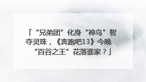 “兄弟团”化身“神鸟”智夺灵珠，《奔跑吧13》今晚“百谷之王”花落谁家？