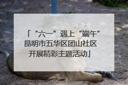 “六一”遇上“端午” 昆明市五华区团山社区开展精彩主题活动