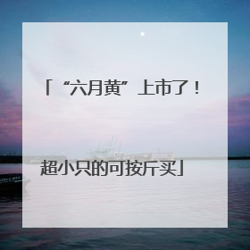 “六月黄”上市了！超小只的可按斤买