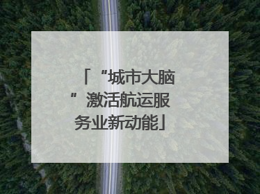 “城市大脑”激活航运服务业新动能