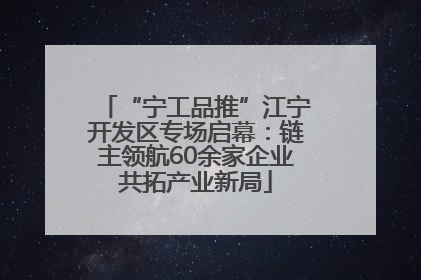 “宁工品推”江宁开发区专场启幕：链主领航60余家企业共拓产业新局