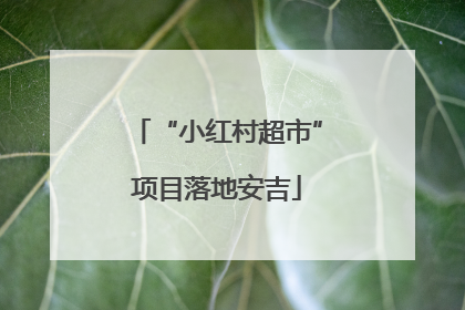 “小红村超市”项目落地安吉
