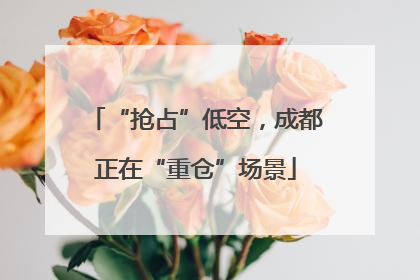 “抢占”低空，成都正在“重仓”场景