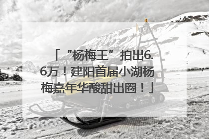 “杨梅王”拍出6.6万！建阳首届小湖杨梅嘉年华酸甜出圈！
