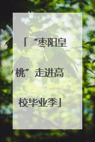 “枣阳皇桃”走进高校毕业季