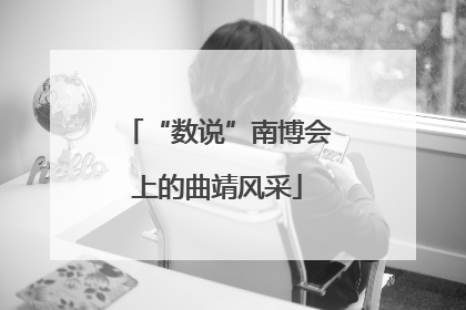“数说”南博会上的曲靖风采
