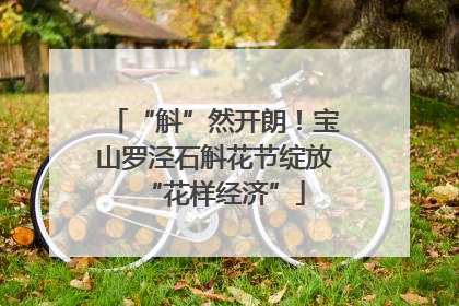 “斛”然开朗！宝山罗泾石斛花节绽放“花样经济”