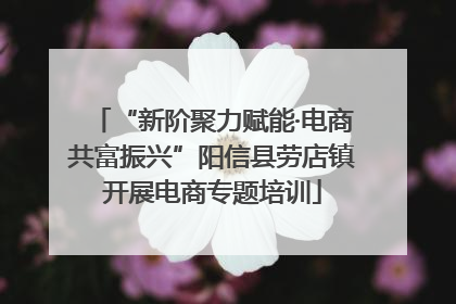 “新阶聚力赋能·电商共富振兴”阳信县劳店镇开展电商专题培训