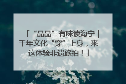 “晶晶”有味读海宁｜千年文化“穿”上身，来这体验非遗旅拍！