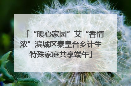 “暖心家园”艾“香情浓”滨城区秦皇台乡计生特殊家庭共享端午