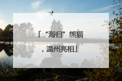 “海归”熊猫，温州亮相