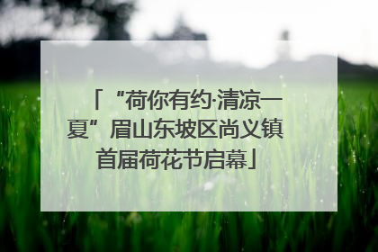 “荷你有约·清凉一夏”眉山东坡区尚义镇首届荷花节启幕