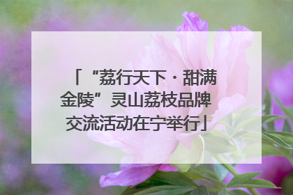 “荔行天下・甜满金陵”灵山荔枝品牌交流活动在宁举行