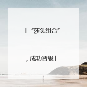 “莎头组合”，成功晋级