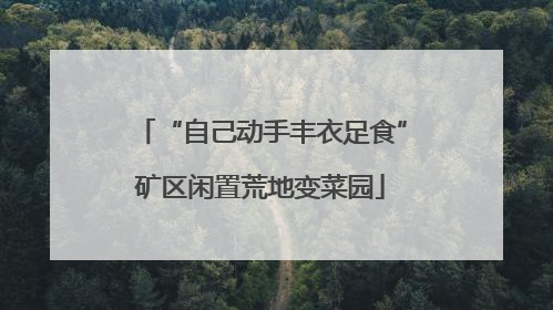 “自己动手丰衣足食”矿区闲置荒地变菜园