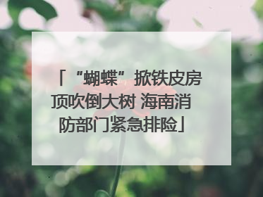 “蝴蝶”掀铁皮房顶吹倒大树 海南消防部门紧急排险