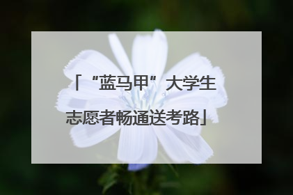 “蓝马甲”大学生志愿者畅通送考路