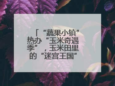 “蔬果小镇”热办“玉米奇遇季”，玉米田里的“迷宫王国”等您来探索