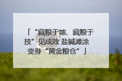 “藏粮于地、藏粮于技”见成效 盐碱滩涂变身“黄金粮仓”