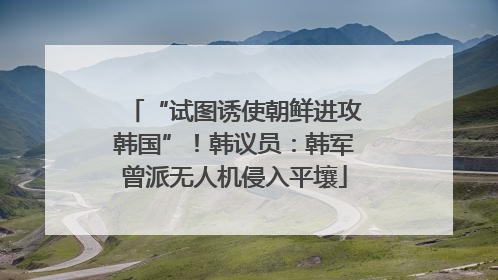 “试图诱使朝鲜进攻韩国”！韩议员：韩军曾派无人机侵入平壤
