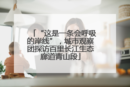 “这是一条会呼吸的岸线”，城市观察团探访百里长江生态廊道青山段