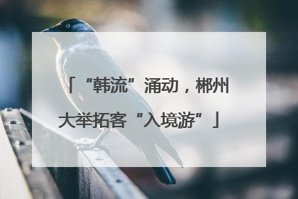 “韩流”涌动，郴州大举拓客“入境游”