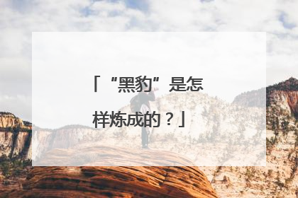“黑豹”是怎样炼成的？
