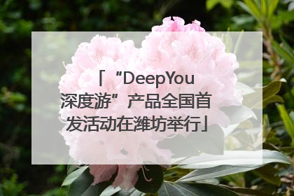 “DeepYou深度游”产品全国首发活动在潍坊举行
