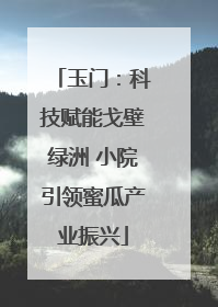 玉门：科技赋能戈壁绿洲 小院引领蜜瓜产业振兴
