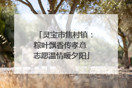 灵宝市焦村镇：粽叶飘香传孝意 志愿温情暖夕阳