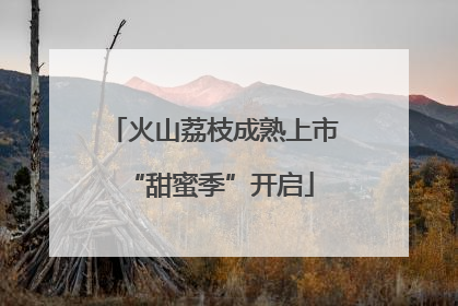 火山荔枝成熟上市 “甜蜜季”开启